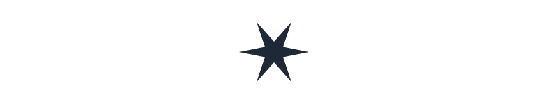 Polygon - 12-point-star