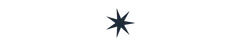 Polygon - 14-point-star